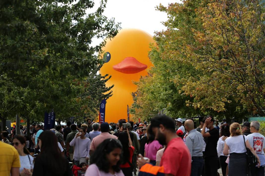 Kente gelen turistler, onu görünce gözlerine inanamadı! Parmakla gösterip endişeyle baktılar 19